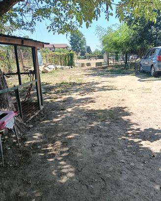 terreno , pensione cavalli ,cani