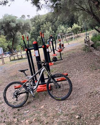 MTB downhill