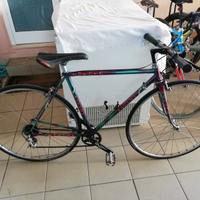Bici Vicini