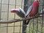 Immagine 2