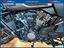 Immagine 8
