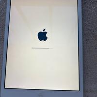 Ipad mini 2 16gb