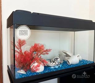 Acquario