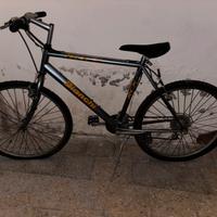 Mountain bike Bianchi