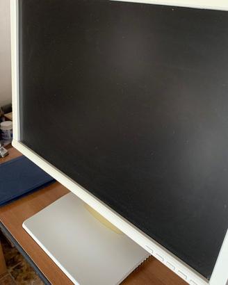 Monitor 19 pollici SIEMENS e Samsung