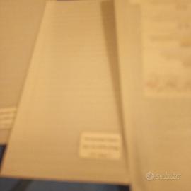 Vetri temperati  per Note9, Note 9 pro. 