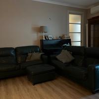 Coppia di divani Frau