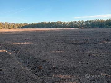 Terreno agricolo Santa Giusta