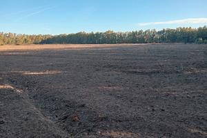 Terreno agricolo Santa Giusta