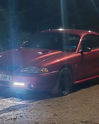 Ford mustang SVT cobra Shelby 