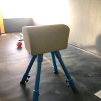 Cavallina per ginnastica