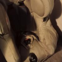 seggiolino bebè confort