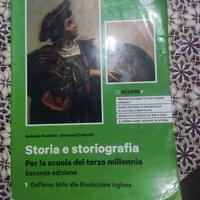 storia e storiografia 