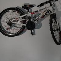 bici AURELIA 