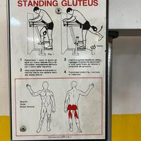 Standing gluteus tecnogim