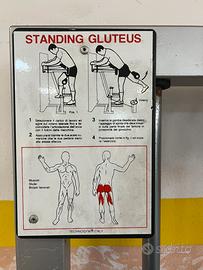 Standing gluteus tecnogim