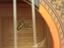 Immagine 5