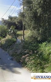 PARTANNA MONDELLO: TERRENO AGRICOLO MQ 1787