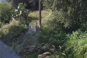 PARTANNA MONDELLO: TERRENO AGRICOLO MQ 1787