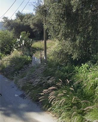 PARTANNA MONDELLO: TERRENO AGRICOLO MQ 1787
