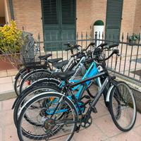 5 biciclette da sistemare