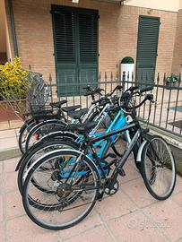 5 biciclette da sistemare