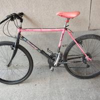 bicicletta mtb