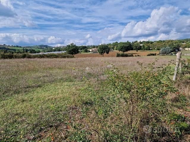 Terreno di 5500 m² a Sansepolcro - Altro