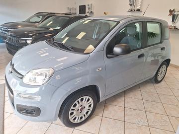 Fiat Panda 1.2 EasyPower Easy