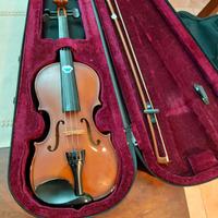 Violino con custodia