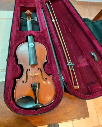 Violino con custodia