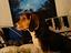 Immagine 6