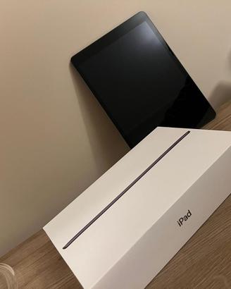 Apple iPad