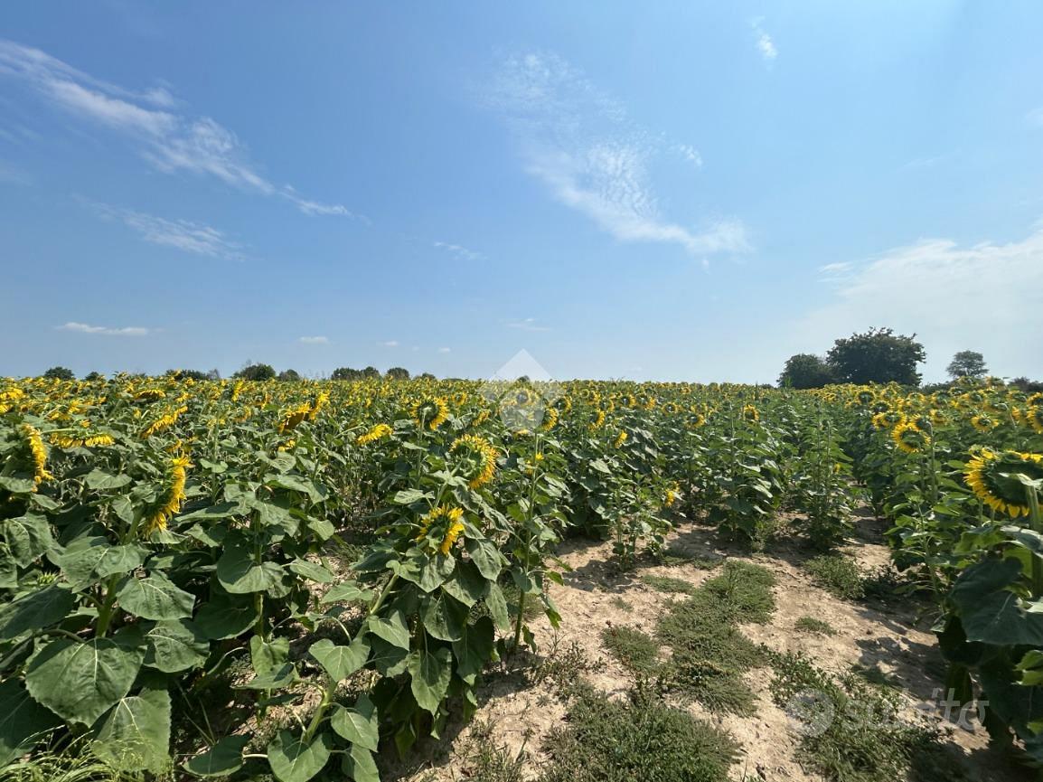 TER. AGRICOLO A TREVENZUOLO - Altro