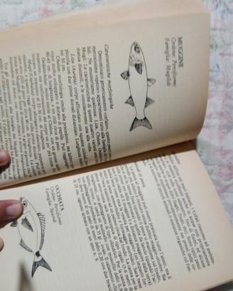 libro pesca nuovo 