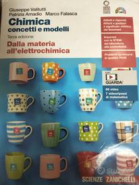 chimica concetti e modelli