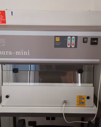 Cappa a Flusso Laminare