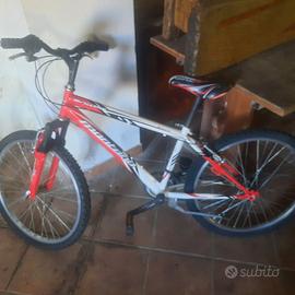 Bicicletta montana da ragazzo