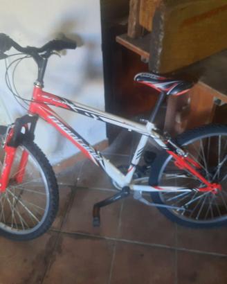 Bicicletta montana da ragazzo
