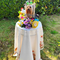 Mini Mini Yorkshire Terrier