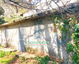 Fabbricato da ristrutturare con terreno a Macchia