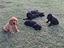 Immagine 1