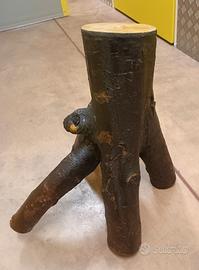 Tronco di albero di melo