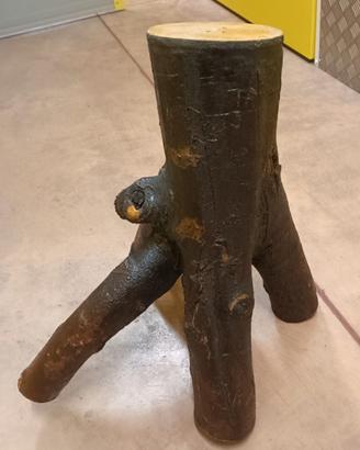 Tronco di albero di melo