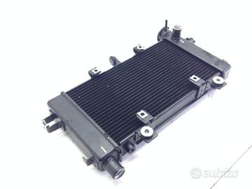 RADIATORE ACQUA RAFFREDDAMENTO MOTORE VOGE TROFEO 