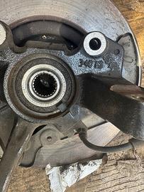 mozzo new panda new y