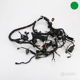 Impianto elettrico DUCATI Diavel 1200