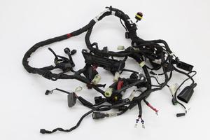 Impianto elettrico DUCATI Diavel 1200