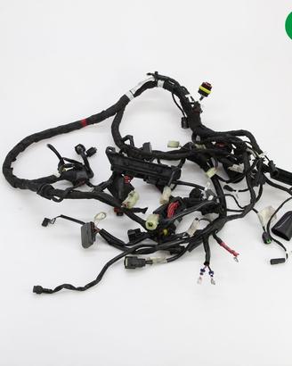 Impianto elettrico DUCATI Diavel 1200