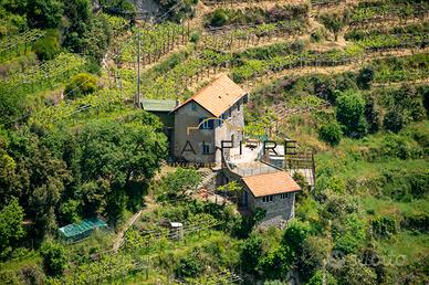 Casale con vigneto "Sentiero degli Dei" Amalfi